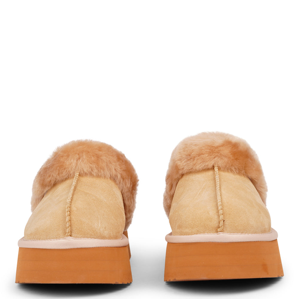 What sets the Robson mules apart is their plush shearling lining, which envelops your feet in a cloud-like cocoon of comfort. The shearling not only adds a touch of opulence but also provides natural insulation, keeping your feet toasty even on the chilliest of days.

But comfort isn't just skin-deep with the&nbsp;Robson mules. The combination of premium suede and the resilient rubber sole ensures durability and longevity, making these mules a dependable choice for daily wear. Whether you're stepping out fo