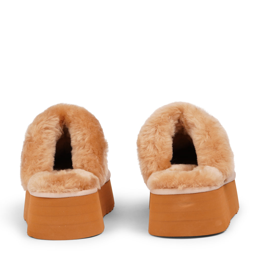 What sets the Robson mules apart is their plush shearling lining, which envelops your feet in a cloud-like cocoon of comfort. The shearling not only adds a touch of opulence but also provides natural insulation, keeping your feet toasty even on the chilliest of days.

But comfort isn't just skin-deep with the&nbsp;Robson mules. The combination of premium suede and the resilient rubber sole ensures durability and longevity, making these mules a dependable choice for daily wear. Whether you're stepping out fo